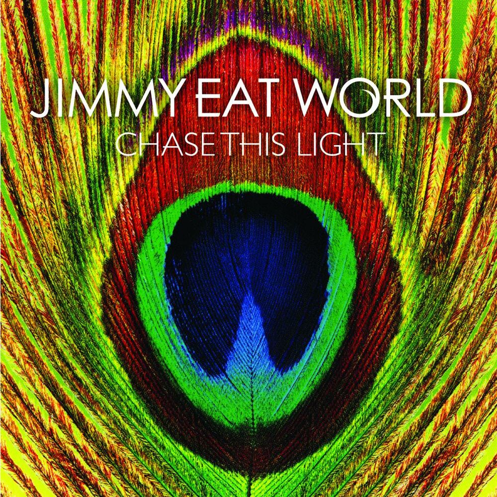 Chase This Light cover