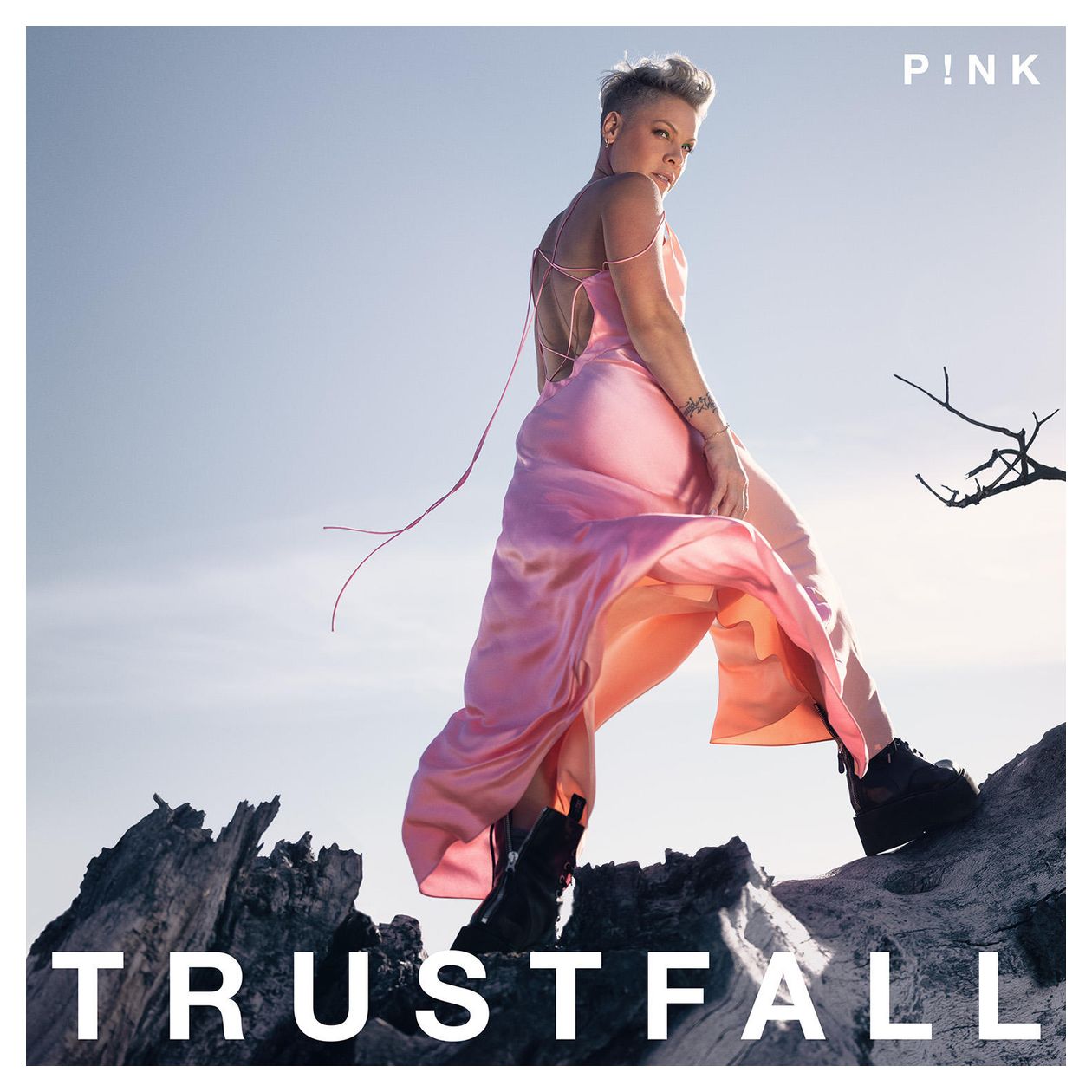 Trustfall