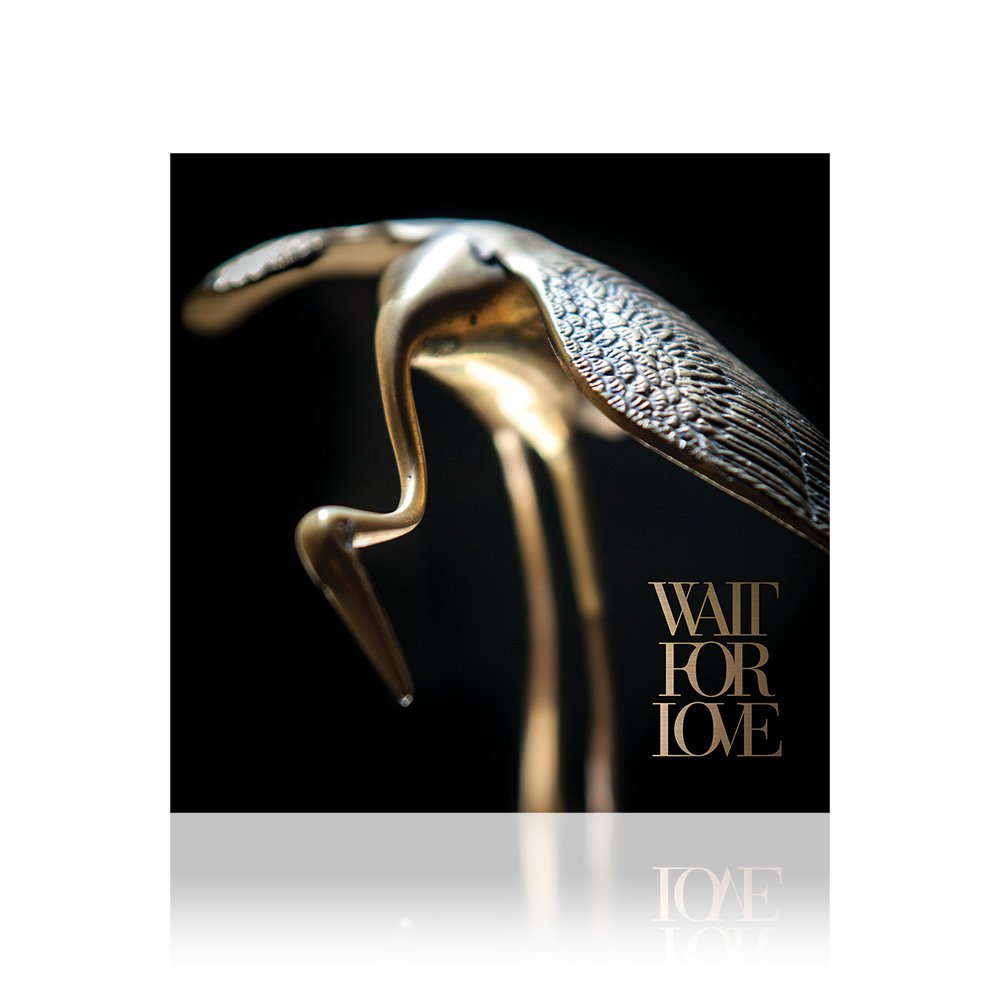 Wait For Love