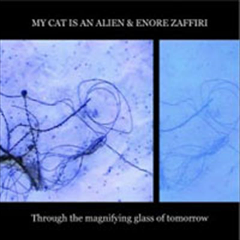 Through The Magnifying Glass Of Tomorrow