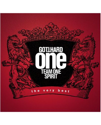 One Team One Spirit