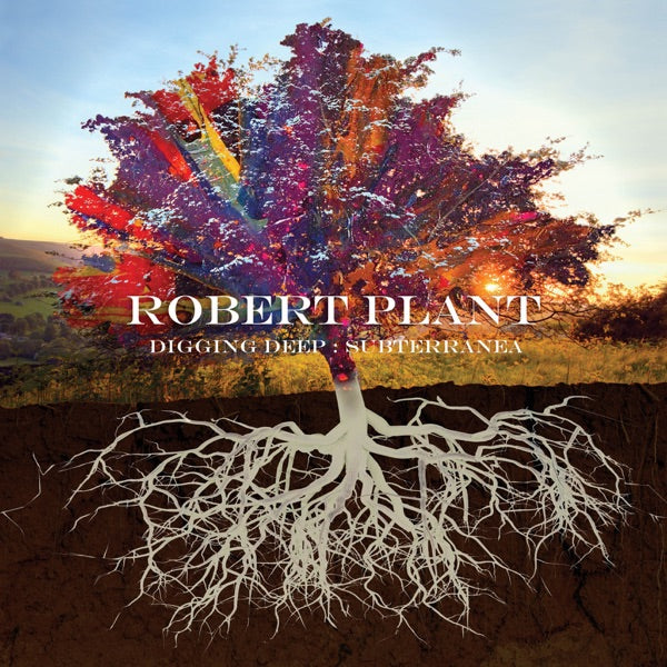 Digging Deep: Subterranea cover