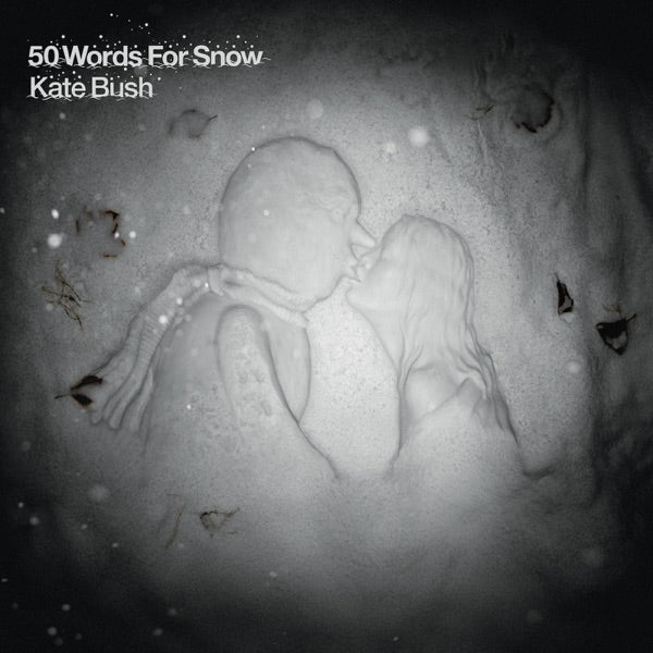 50 Words for Snow cover