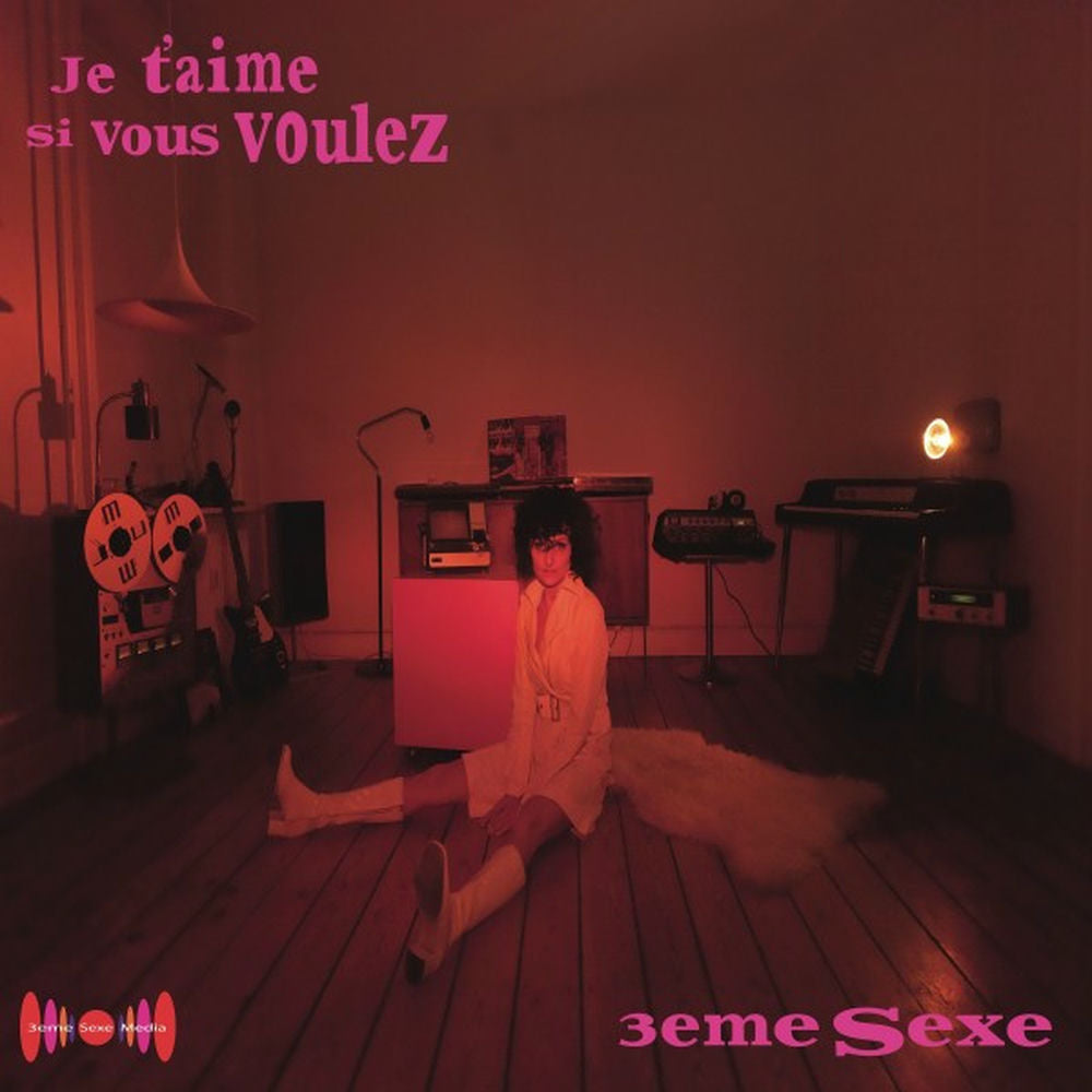 3Ieme Sexe [VINYL] cover