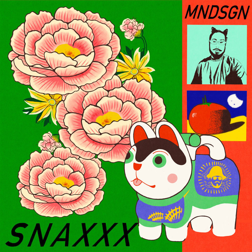 Snaxxx [VINYL] cover