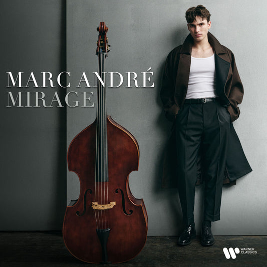 Secret Faure:.. cover