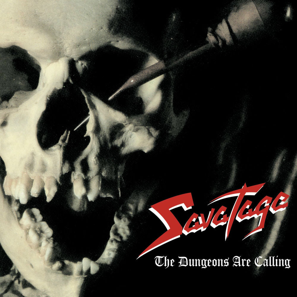 The Dungeons Are Calling [VINYL] cover