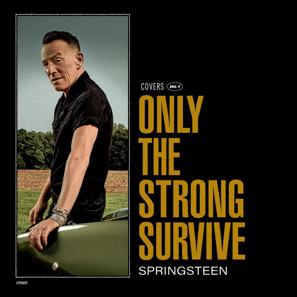 Only The Strong Survive [VINYL] cover