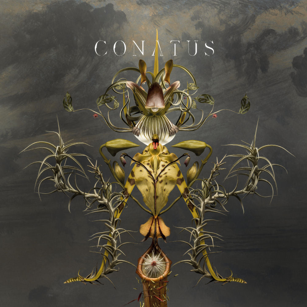 Conatus cover