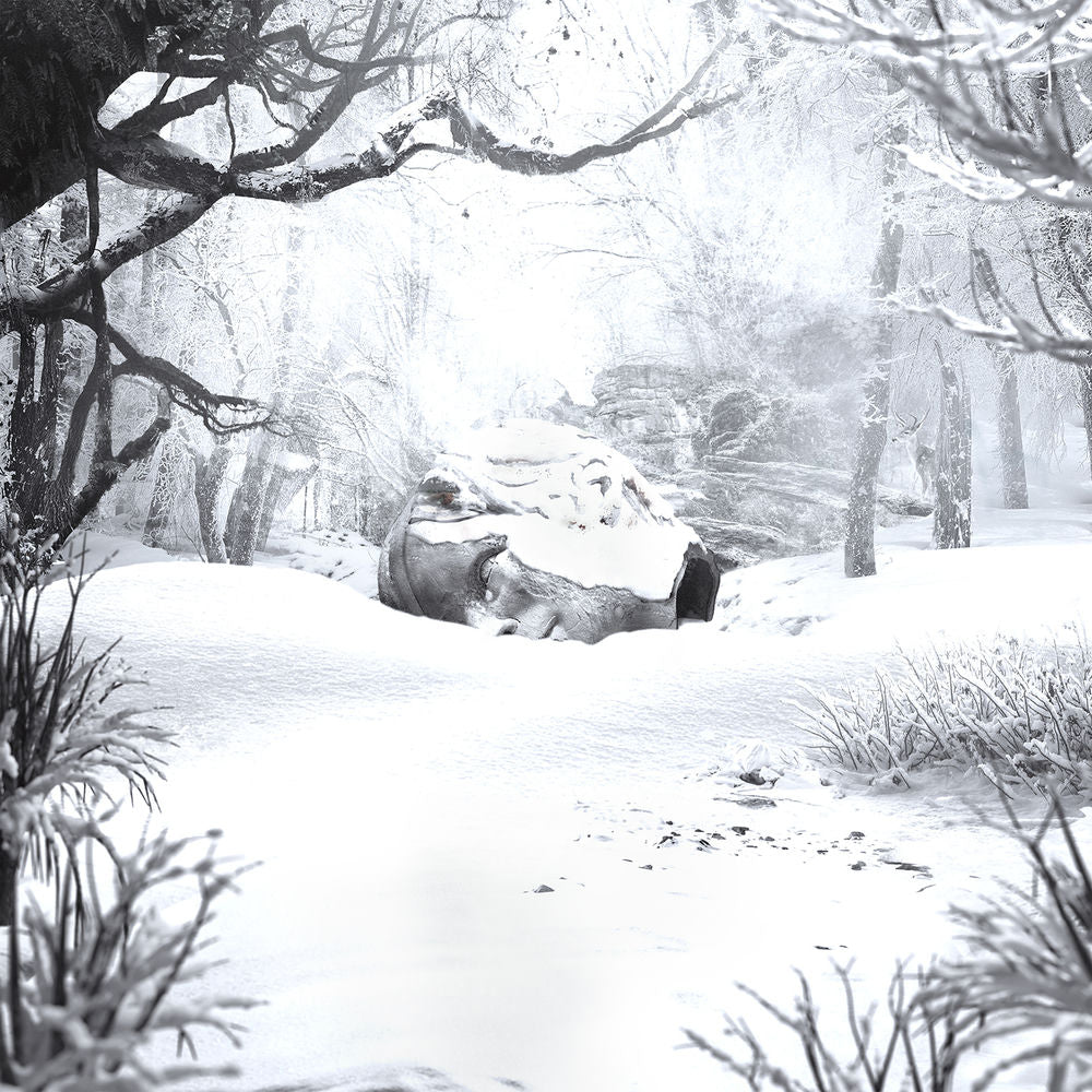 SZNZ: Winter [VINYL] cover