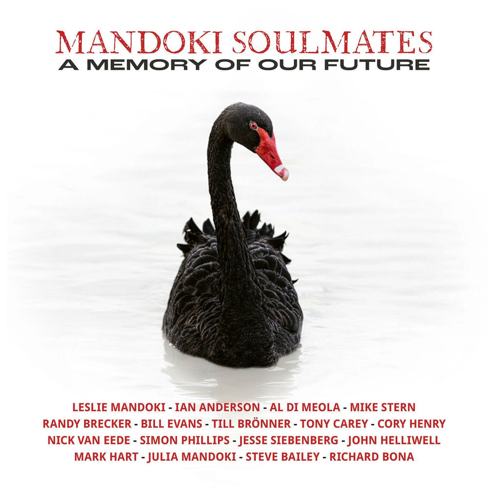 A Memory Of Our Future [VINYL] cover