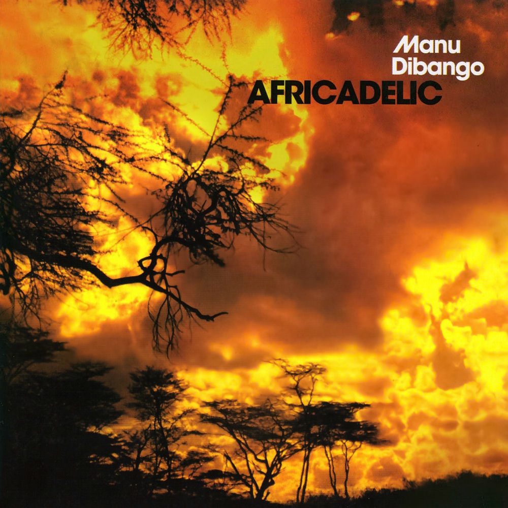 Africadelic cover
