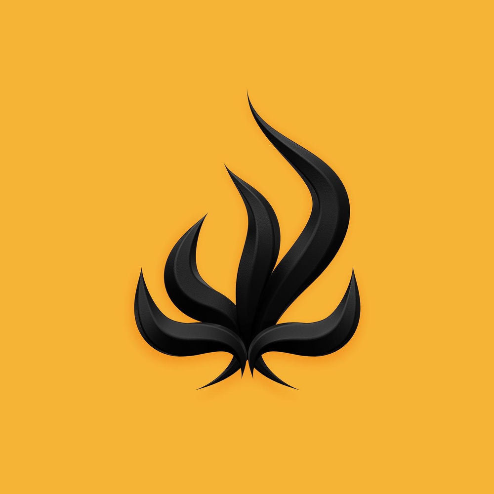 Black Flame cover