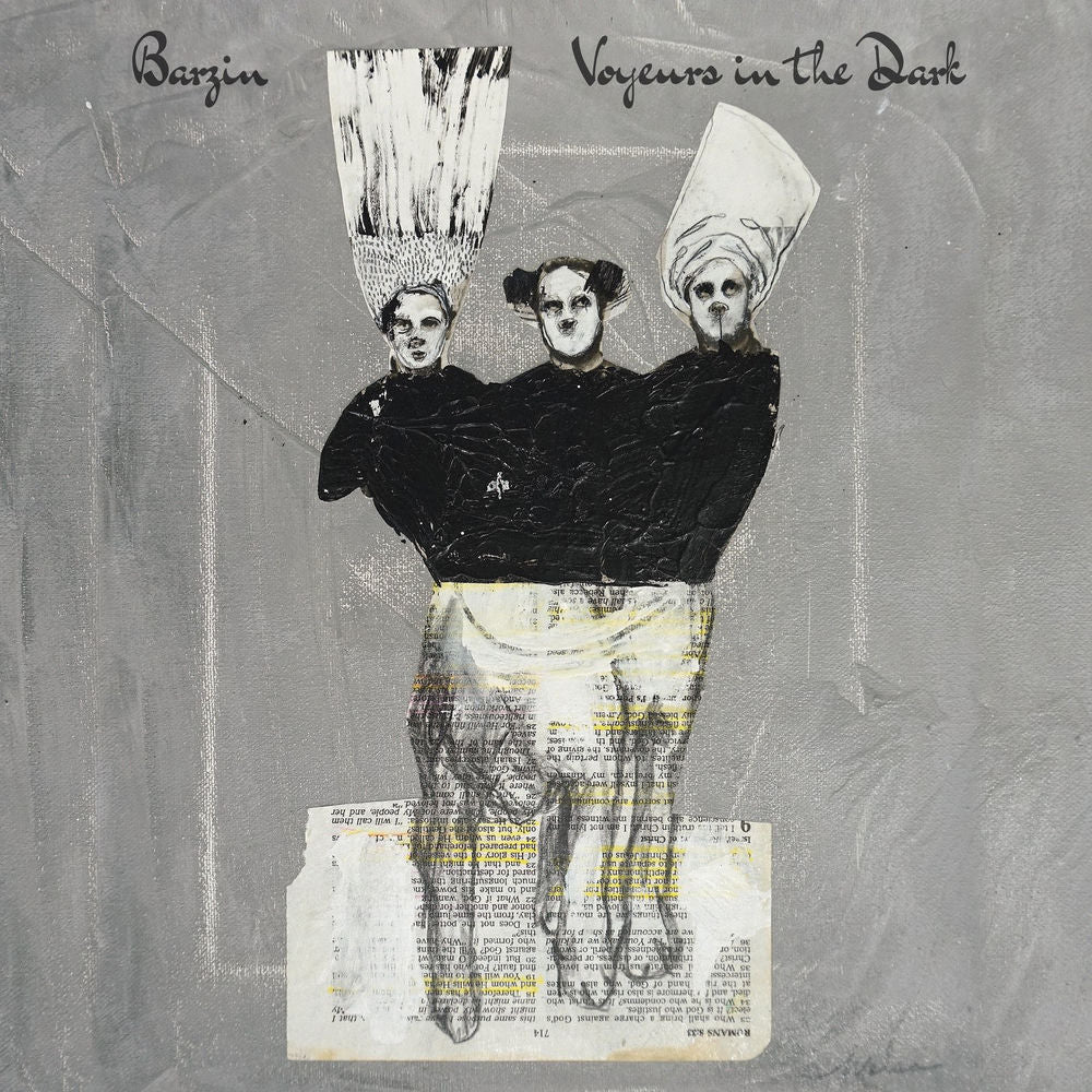 Voyeurs in the Dark cover