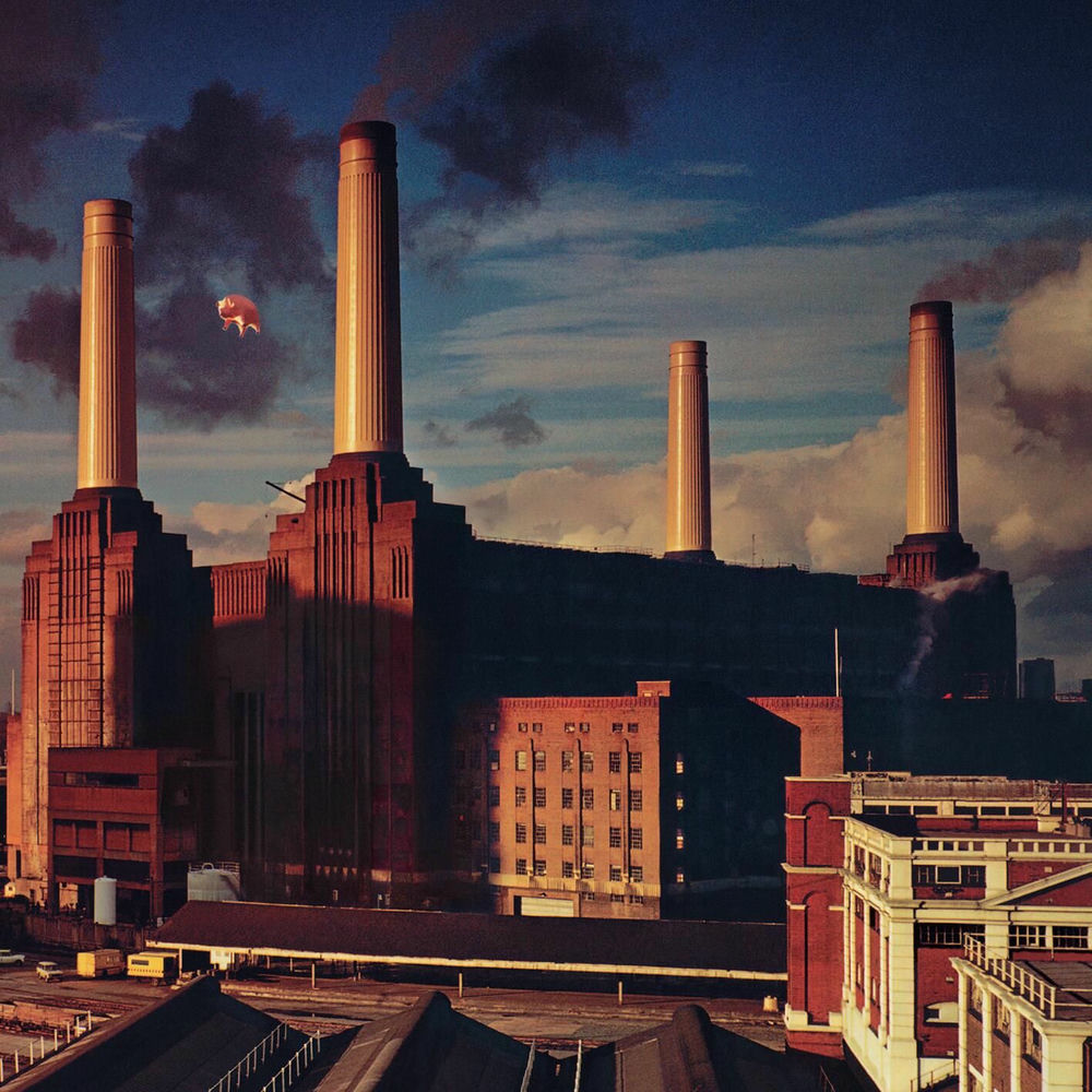 ANIMA [VINYL] cover