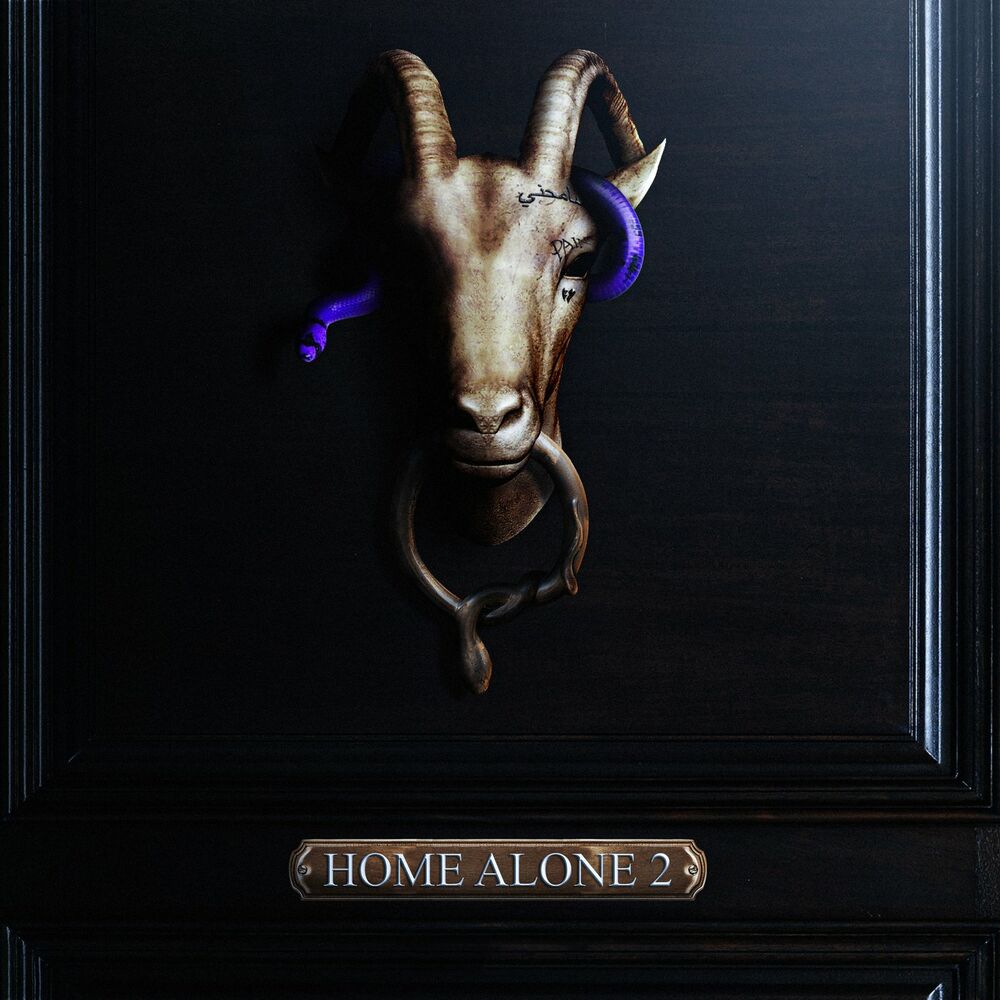 Home Alone 2 cover