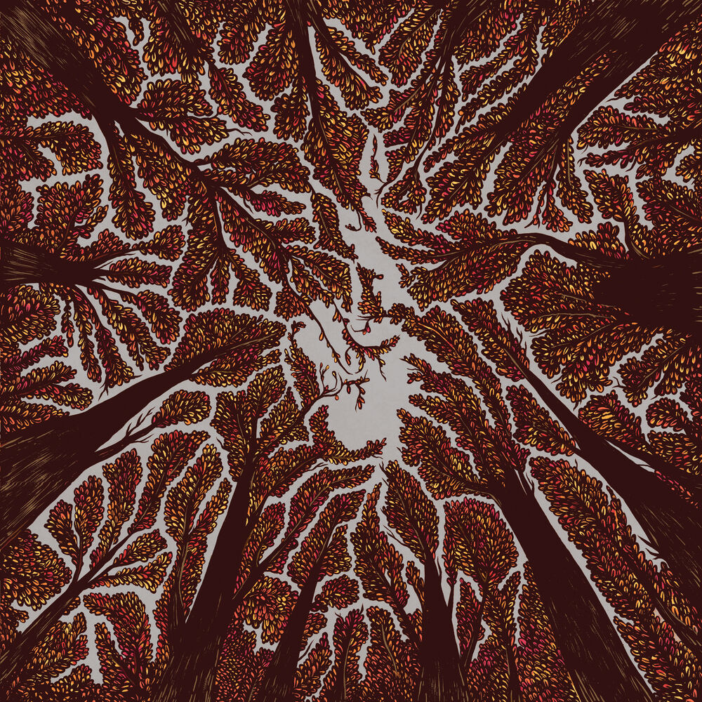 Crown Shyness [VINYL] cover