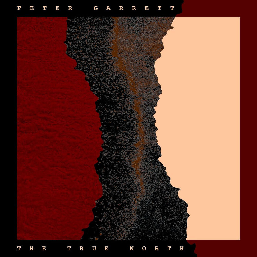 True North [VINYL] cover