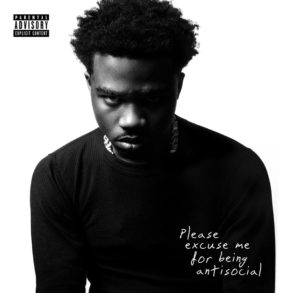 Please Excuse Me for Being Antisocial cover