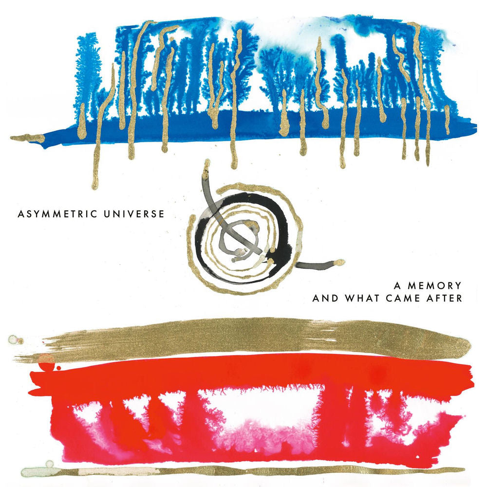 A Memory And What Came After [VINYL] cover