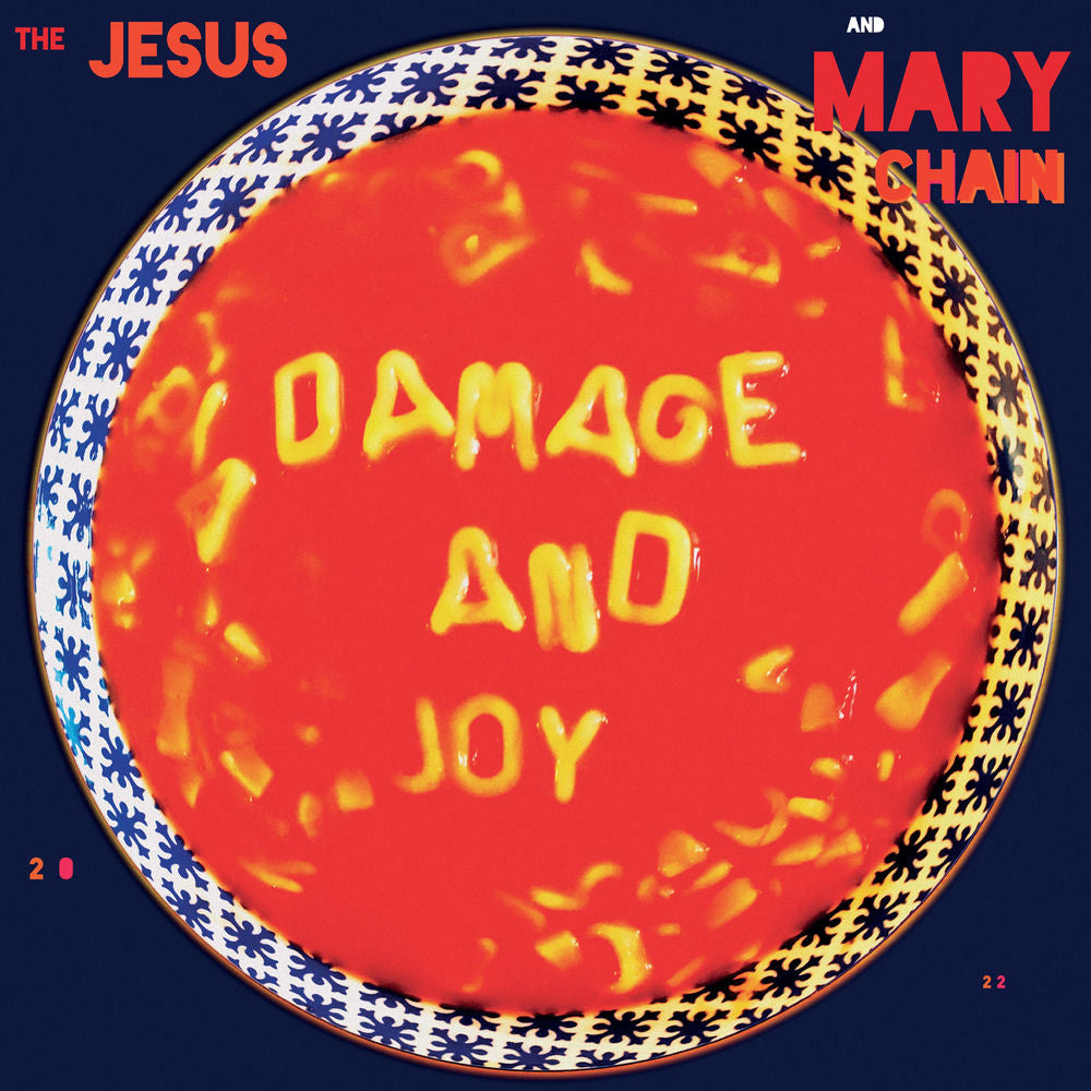 Damage and Joy cover