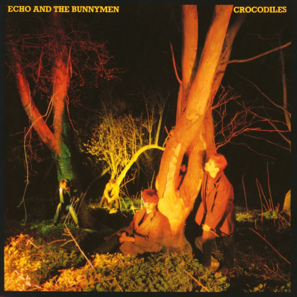 Crocodiles [VINYL] cover