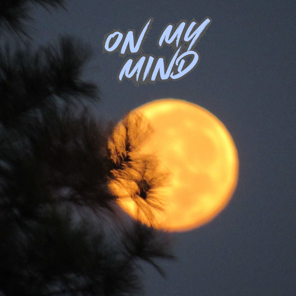 Mind The Moon cover