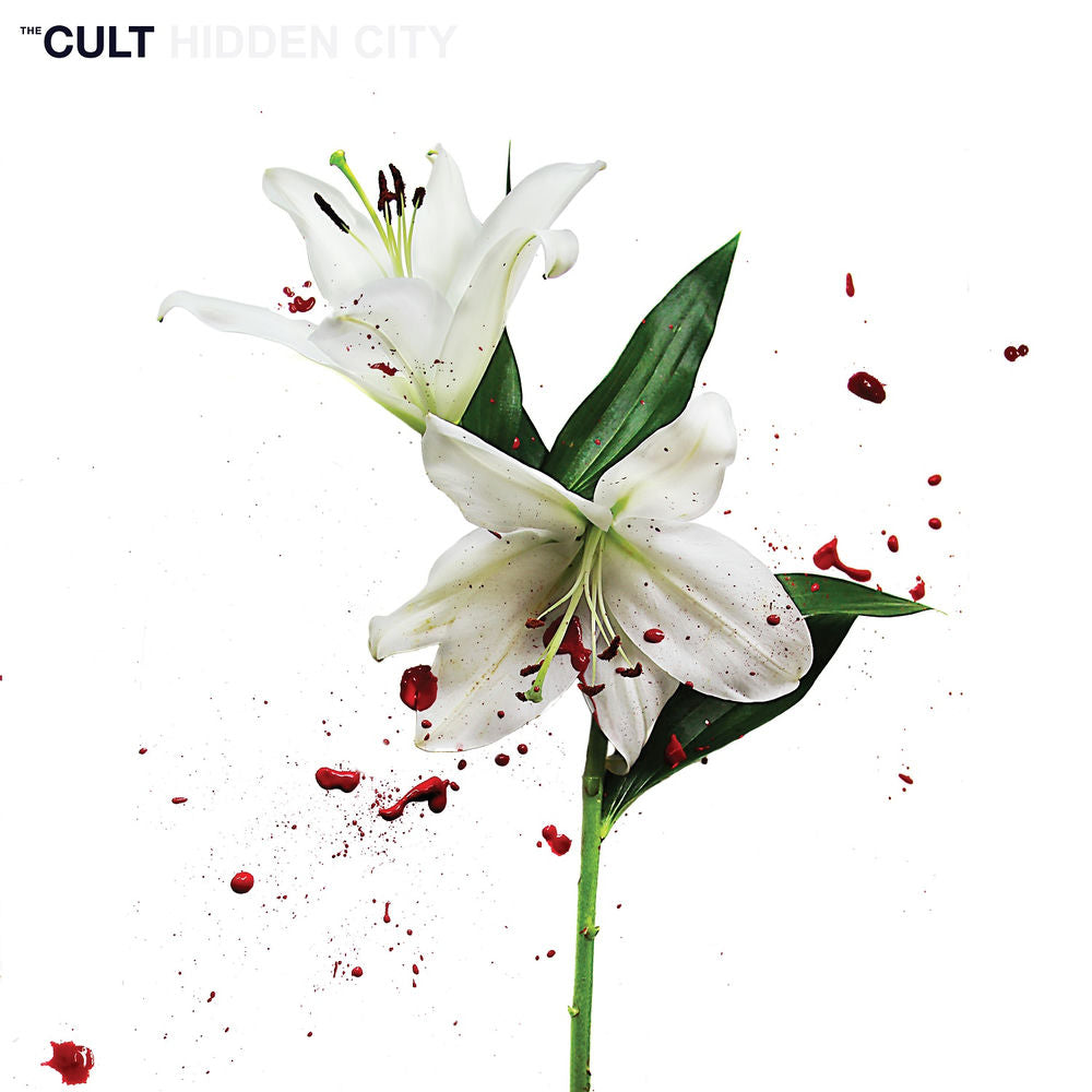 Hidden City [VINYL] cover