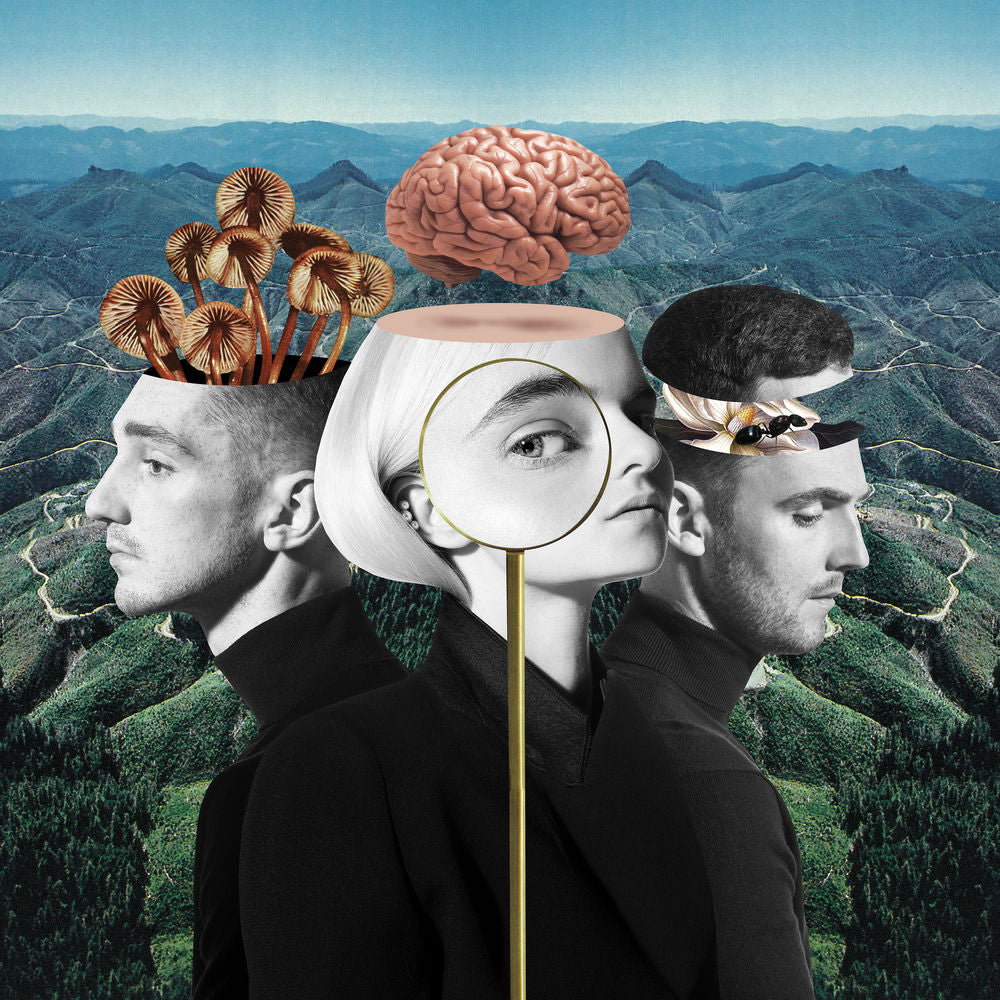 What Is Love? (Deluxe Edition) [VINYL] cover