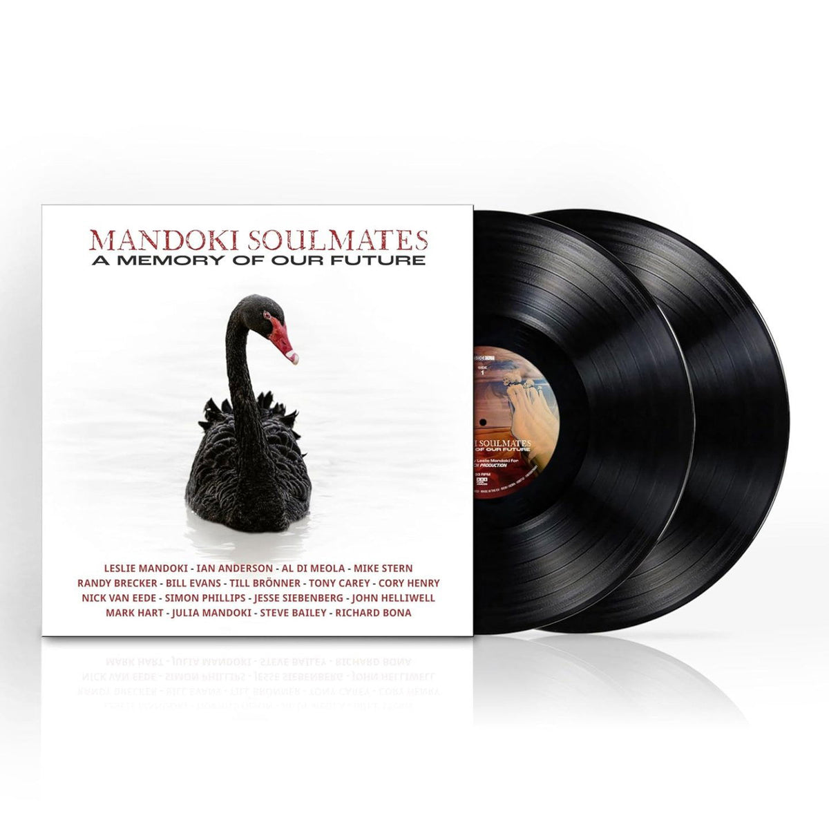 A Memory Of Our Future [VINYL]