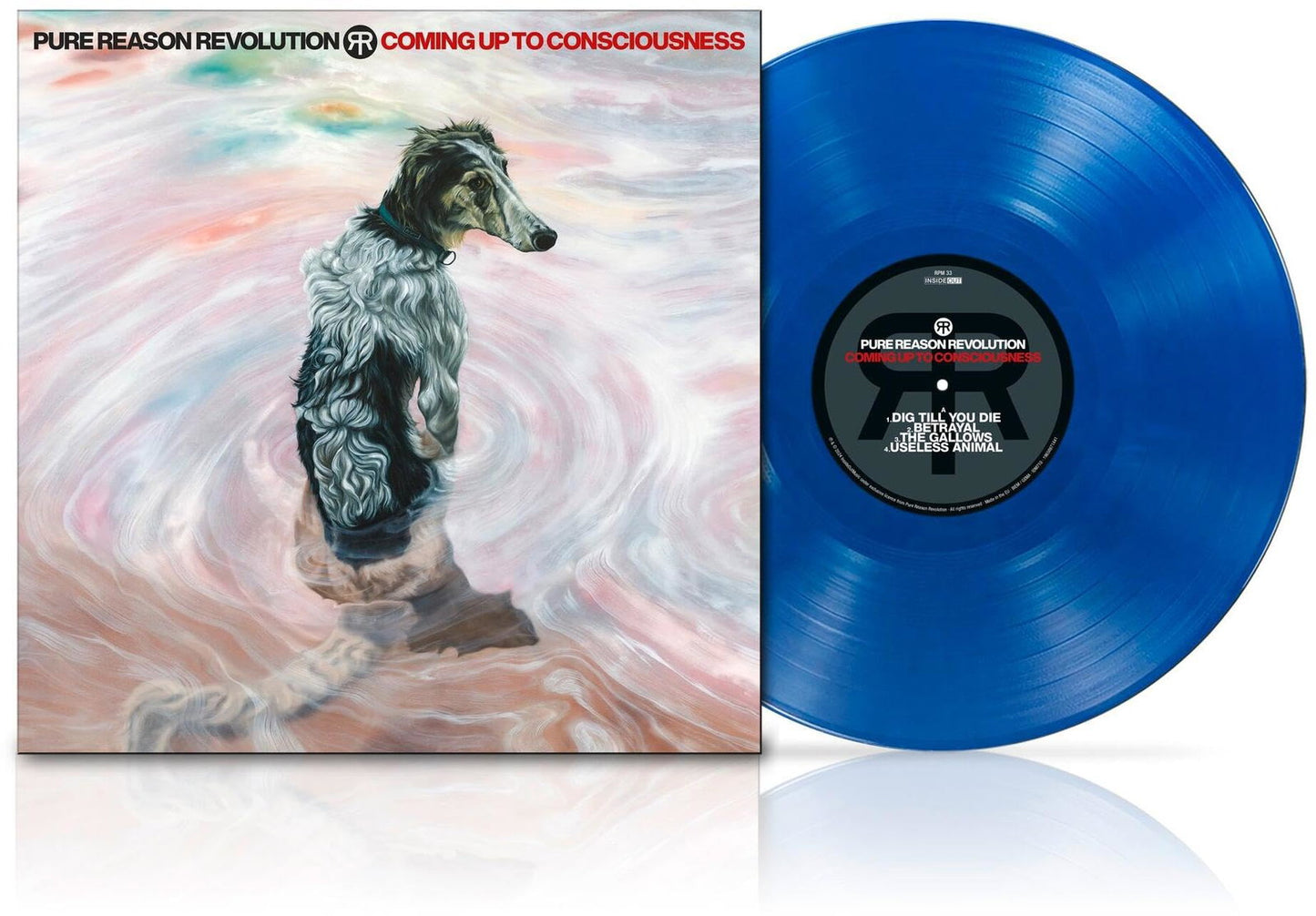 Coming Up To Consciousness [VINYL]