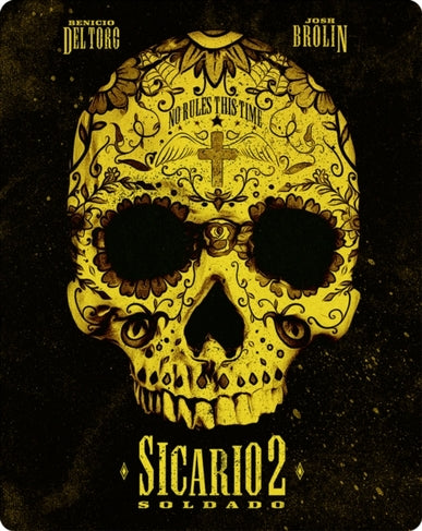 Sicario 2: Soldado 2018 [Steelbook] [Blu-ray]