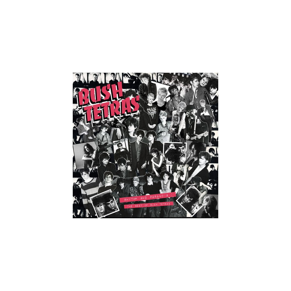 Rhythm and Paranoia: The Best of Bush Tetras [VINYL]