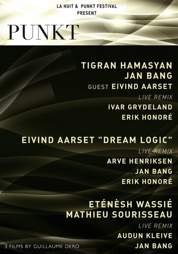 Punkt Festival [DVD]