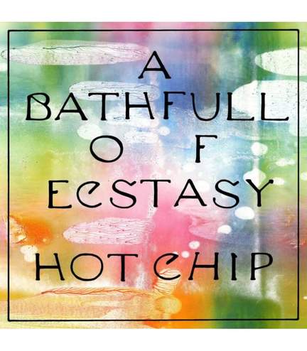 Hot Chip-A Bath Full Of Ecstasy