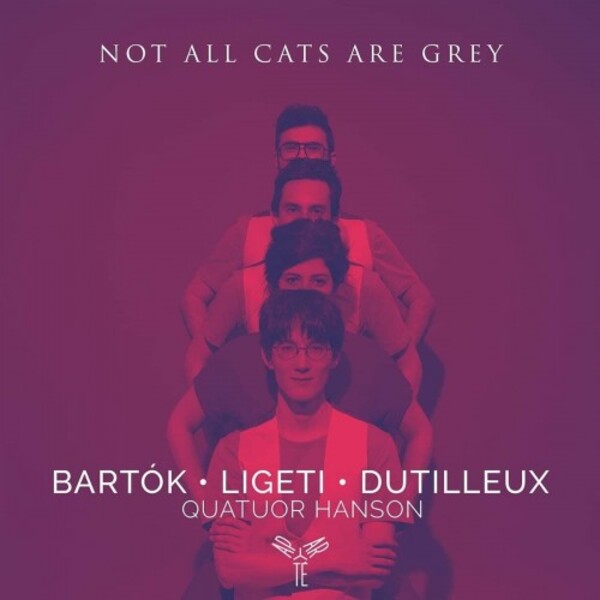 Quatuor Hanson: Not All Cats Are Grey