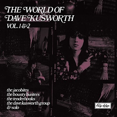 World Of Dave Kusworth