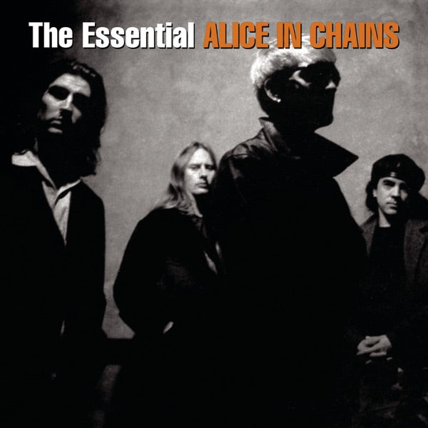 The Essential Alice In Chains cover