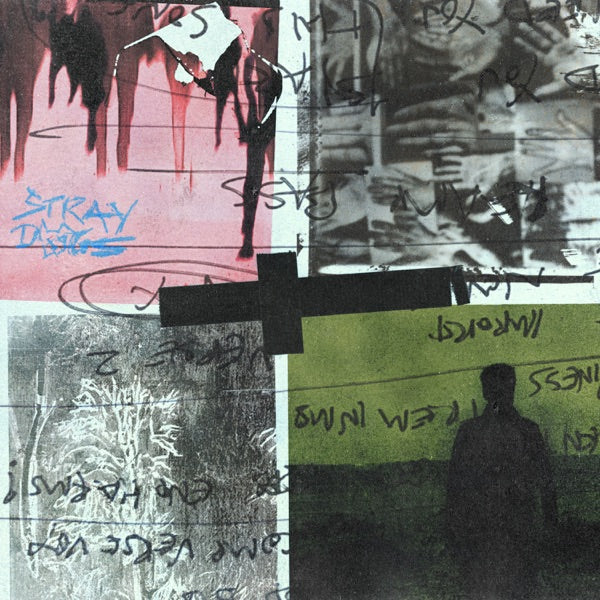 Evolution cover