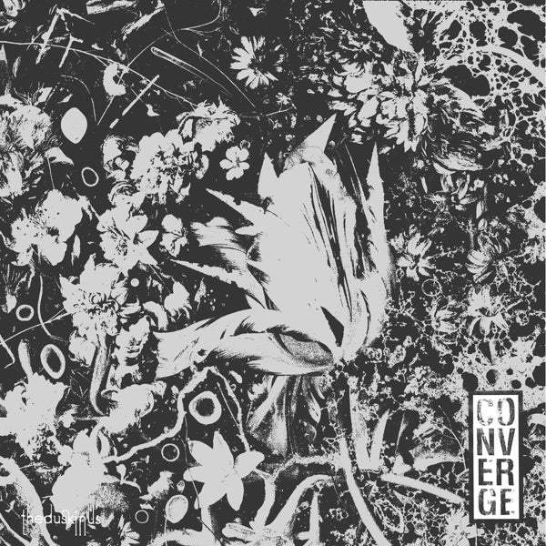The Dusk In Us cover