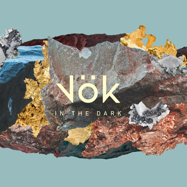 In the Dark [VINYL] cover