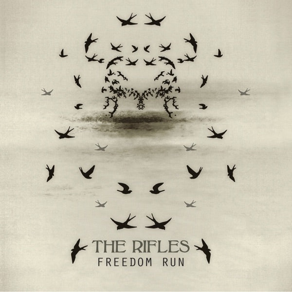 Freedom Run cover