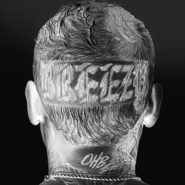WE [VINYL] cover