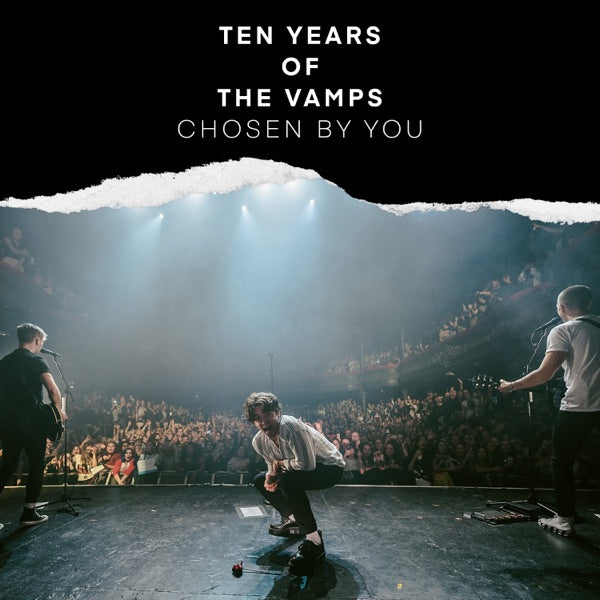 Ten Years Of The Vamps cover