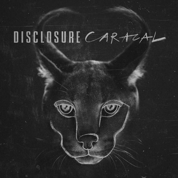 Caracal [VINYL] cover