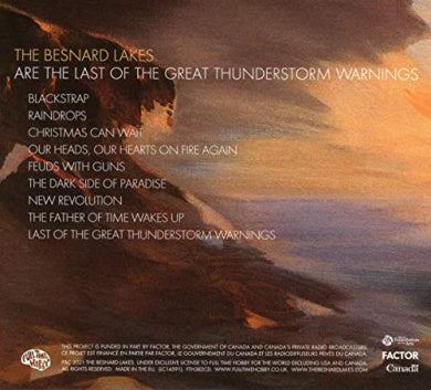 ARE THE LAST OF THE THUNDERSTORM WARNINGS [VINYL]